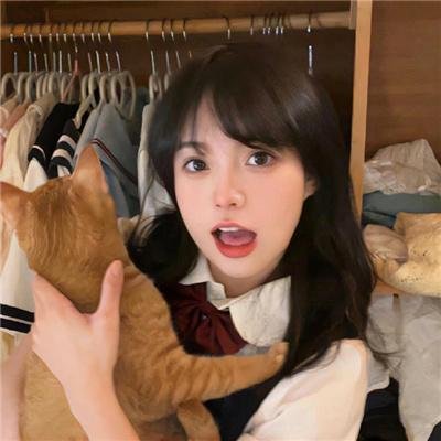 沃伦2016