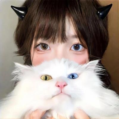 超完美明星